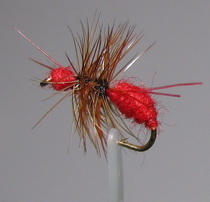 ���� Ant flies �������  ANT 019 ( Red DUBBING ) Kumho dry � 12
